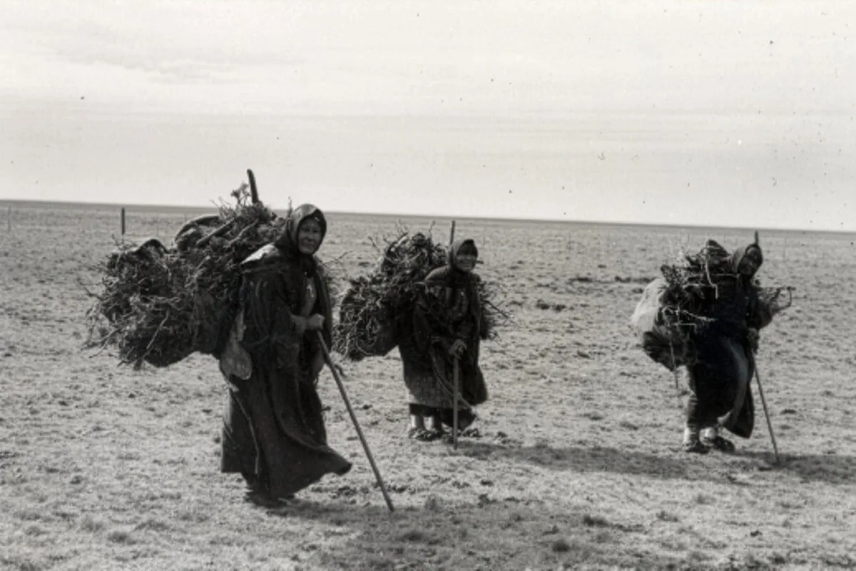 MMB-FB3284 Mujeres cargando ŭíntsch (leña)
