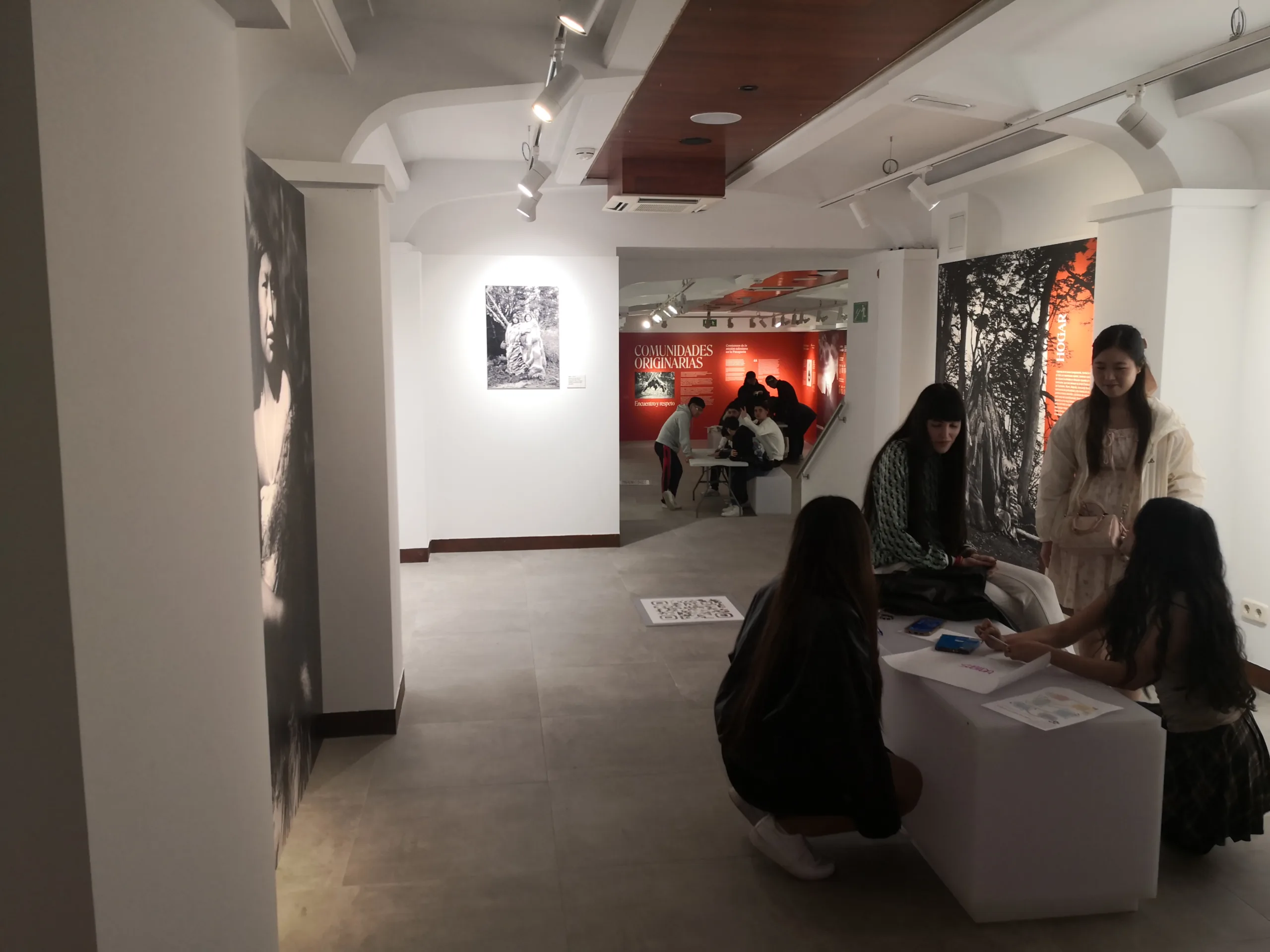 Pueblos originariosEl relato indígena_ Galeria 1